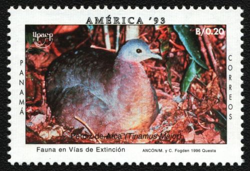 Panama 1996 - Mi-Nr. 1767 ** - MNH - Vögel / Birds