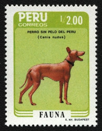 Peru 1986 - Mi-Nr. 1339 ** - MNH - Hunde / Dogs
