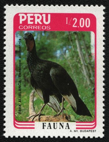 Peru 1986 - Mi-Nr. 1345 ** - MNH - Vögel / Birds