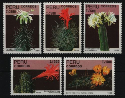 Peru 1989 - Mi-Nr. 1404-1408 ** - MNH - Kakteen / Cacti