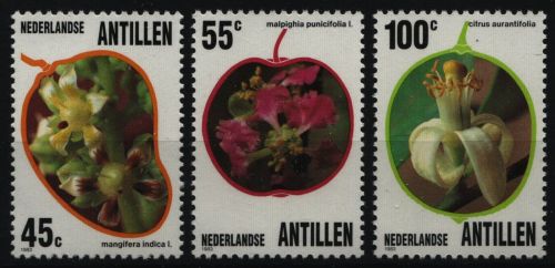 Niederländische Antillen 1983 - Mi-Nr. 497-499 ** - MNH - Nutzpflanzen
