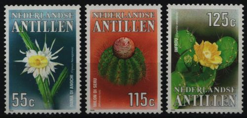 Niederländische Antillen 1988 - Mi-Nr. 649-651 ** - MNH - Kakteen / Cacti