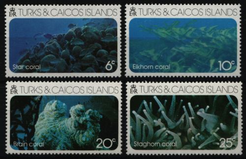 Turks- & Caicos 1975 - Mi-Nr. 349-352 ** - MNH - Korallen / Corals