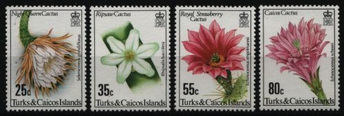 Turks- & Caicos 1981 - Mi-Nr. 527-530 ** - MNH - Kakteen / Cacti