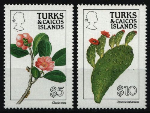 Turks- & Caicos 1990 - Mi-Nr. 938-949 A ** - MNH - gez. 14 - Blüten / Blossoms