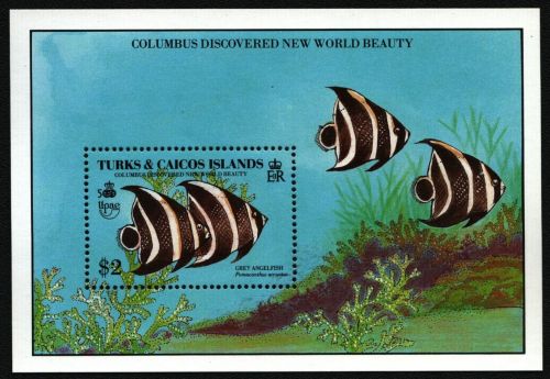 Turks- & Caicos 1990 - Mi-Nr. Block 87 ** - MNH - Fische / Fish