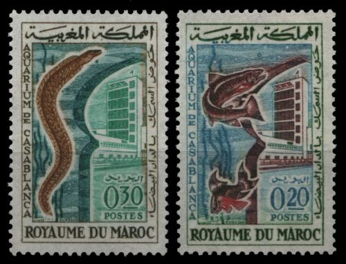 Marokko 1962 - Mi-Nr. 506-507 ** - MNH - Fische / Fish