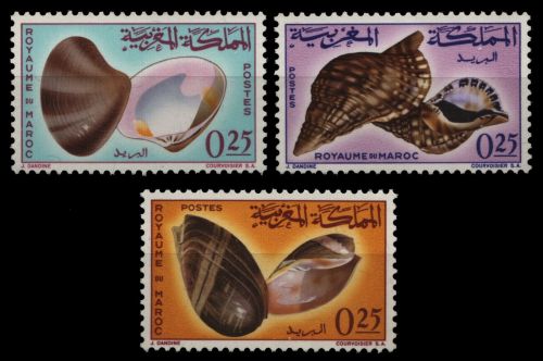 Marokko 1965 - Mi-Nr. 550-552 ** - MNH - Meeresschnecken / Marine snails