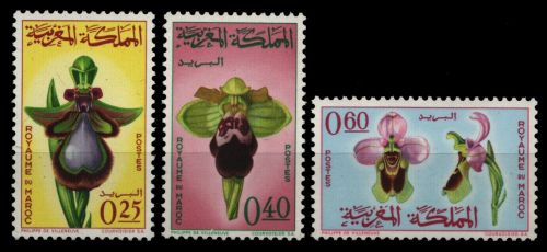 Marokko 1965 - Mi-Nr. 556-558 ** - MNH - Orchideen / Orchids