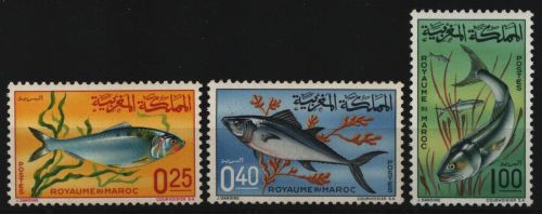 Marokko 1967 - Mi-Nr. 577-579 ** - MNH - Fische / Fish