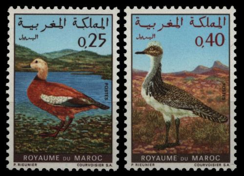 Marokko 1970 - Mi-Nr. 672-673 ** - MNH - Vögel / Birds