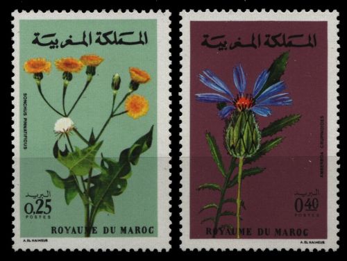Marokko 1972 - Mi-Nr. 712-713 ** - MNH - Blumen / Flowers