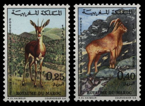 Marokko 1972 - Mi-Nr. 714-715 ** - MNH - Wildtiere / Wild animals