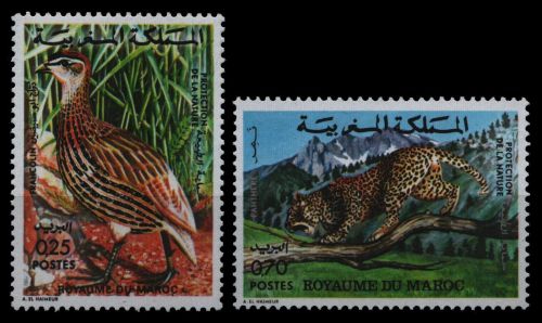 Marokko 1974 - Mi-Nr. 789-790 ** - MNH - Wildtiere / Wild animals