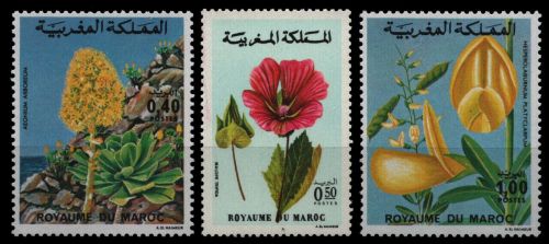 Marokko 1977 - Mi-Nr. 860-862 ** - MNH - Blumen / Flowers
