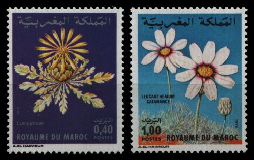 Marokko 1979 - Mi-Nr. 914-915 ** - MNH - Blumen / Flowers