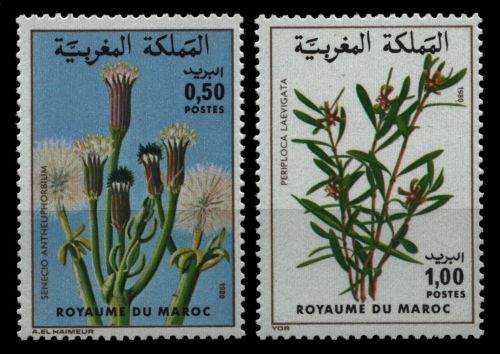 Marokko 1980 - Mi-Nr. 943-944 ** - MNH - Flora