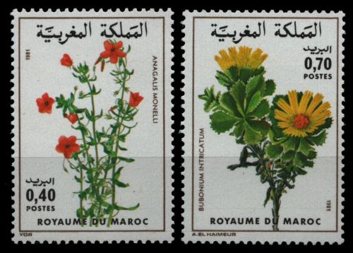 Marokko 1981 - Mi-Nr. 955-956 ** - MNH - Flora
