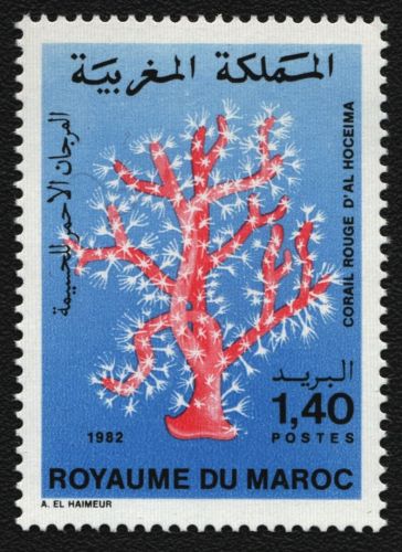 Marokko 1982 - Mi-Nr. 1010 ** - MNH - Korallen / Corals