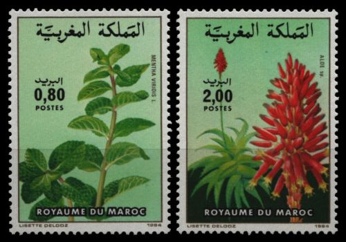 Marokko 1984 - Mi-Nr. 1048-1049 ** - MNH - Blumen / Flowers