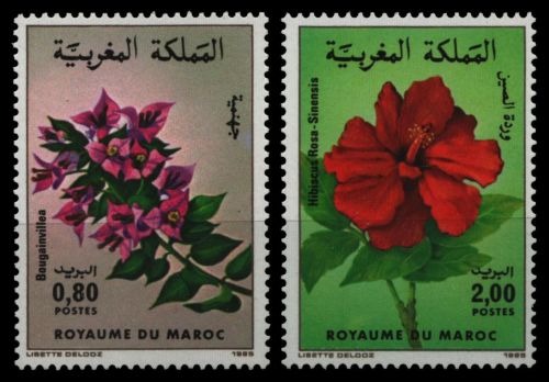 Marokko 1985 - Mi-Nr. 1075-1076 ** - MNH - Blumen / Flowers