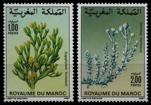 Marokko 1987 - Mi-Nr. 1119-1120 ** - MNH - Flora
