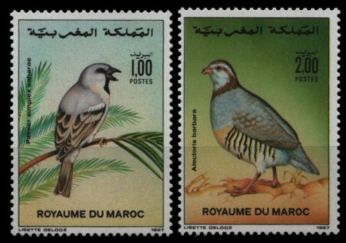 Marokko 1987 - Mi-Nr. 1131-1132 ** - MNH - Vögel / Birds