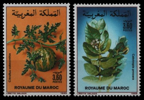 Marokko 1988 - Mi-Nr. 1140-1141 ** - MNH - Flora