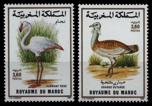 Marokko 1988 - Mi-Nr. 1144-1145 ** - MNH - Vögel / Birds