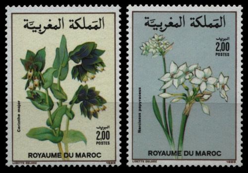 Marokko 1989 - Mi-Nr. 1159-1160 ** - MNH - Flora