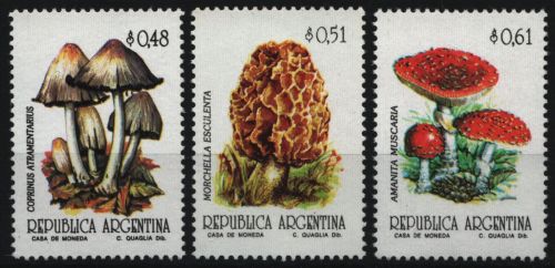 Argentinien 1992 - Mi-Nr. 2139-2141 ** - MNH - Pilze / Mushrooms