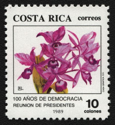 Costa Rica 1988 - Mi-Nr. 1367 ** - MNH - Flora