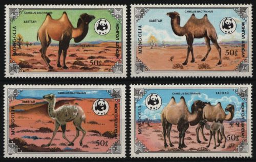 Mongolei 1985 - Mi-Nr. 1707-1710 ** - MNH - Kamel / Camel