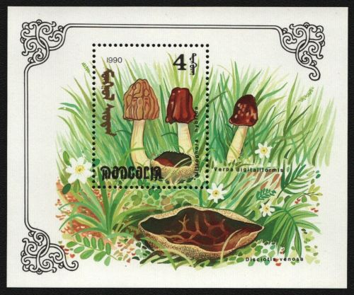 Mongolei 1991 - Mi-Nr. Block 172 ** - MNH - Pilze / Mushrooms