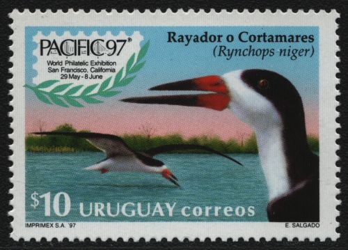 Uruguay 1997 - Mi-Nr. 2260 ** - MNH - Vögel / Birds