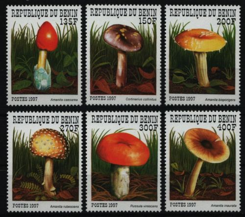 Benin 1997 - Mi-Nr. 989-994 ** - MNH - Pilze / Mushrooms