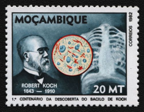 Mosambik 1982 - Mi-Nr. 882 ** - MNH - Robert Koch