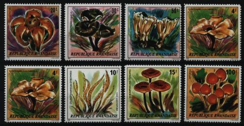 Ruanda 1980 - Mi-Nr. 1051-1058 A ** - MNH - Pilze / Mushrooms