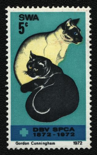 Südwestafrika 1972 - Mi-Nr. 367 ** - MNH - Katzen / Cats