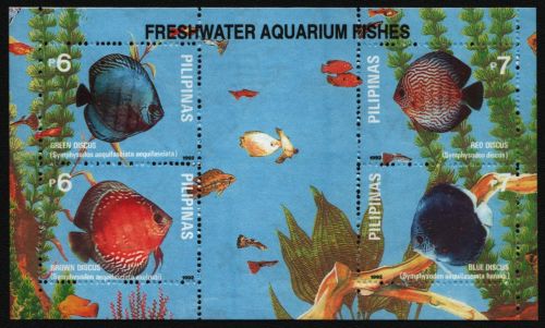 Philippinen 1992 - Mi-Nr. Block 50 ** - MNH - Fische / Fish