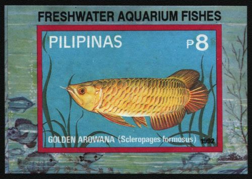 Philippinen 1992 - Mi-Nr. Block 51 ** - MNH - Fische / Fish