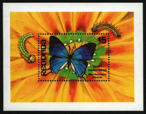 Redonda 1982 - Mi-Nr. Block 16 ** - MNH - Schmetterlinge / Butterflies