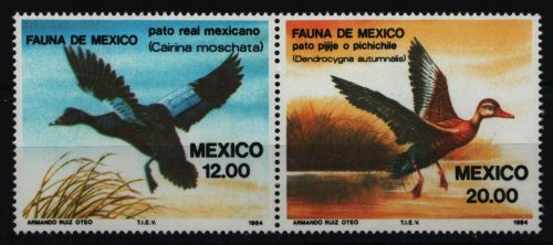 Mexiko 1984 - Mi-Nr. 1893-1894 ** - MNH - Paar - Vögel / Birds