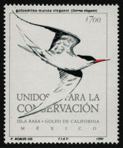 Mexiko 1990 - Mi-Nr. 2180 ** - MNH - Vögel / Birds