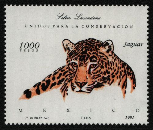 Mexiko 1991 - Mi-Nr. 2240 ** - MNH - Wildtiere / Wild animals