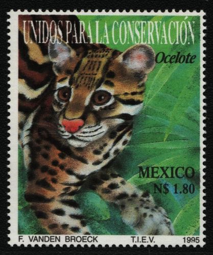 Mexiko 1995 - Mi-Nr. 2523 ** - MNH - Wildtiere / Wild animals