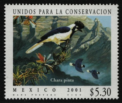 Mexiko 2001 - Mi-Nr. 2941 ** - MNH - Vögel / Birds