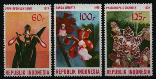 Indonesien 1979 - Mi-Nr. 923-925 ** - MNH - Orchideen / Orchids