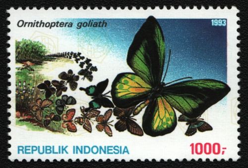 Indonesien 1993 - Mi-Nr. 1457 ** - MNH - Schmetterlinge / Butterflies