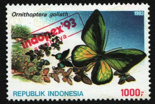 Indonesien 1993 - Mi-Nr. 1458 ** - MNH - Schmetterlinge / Butterflies